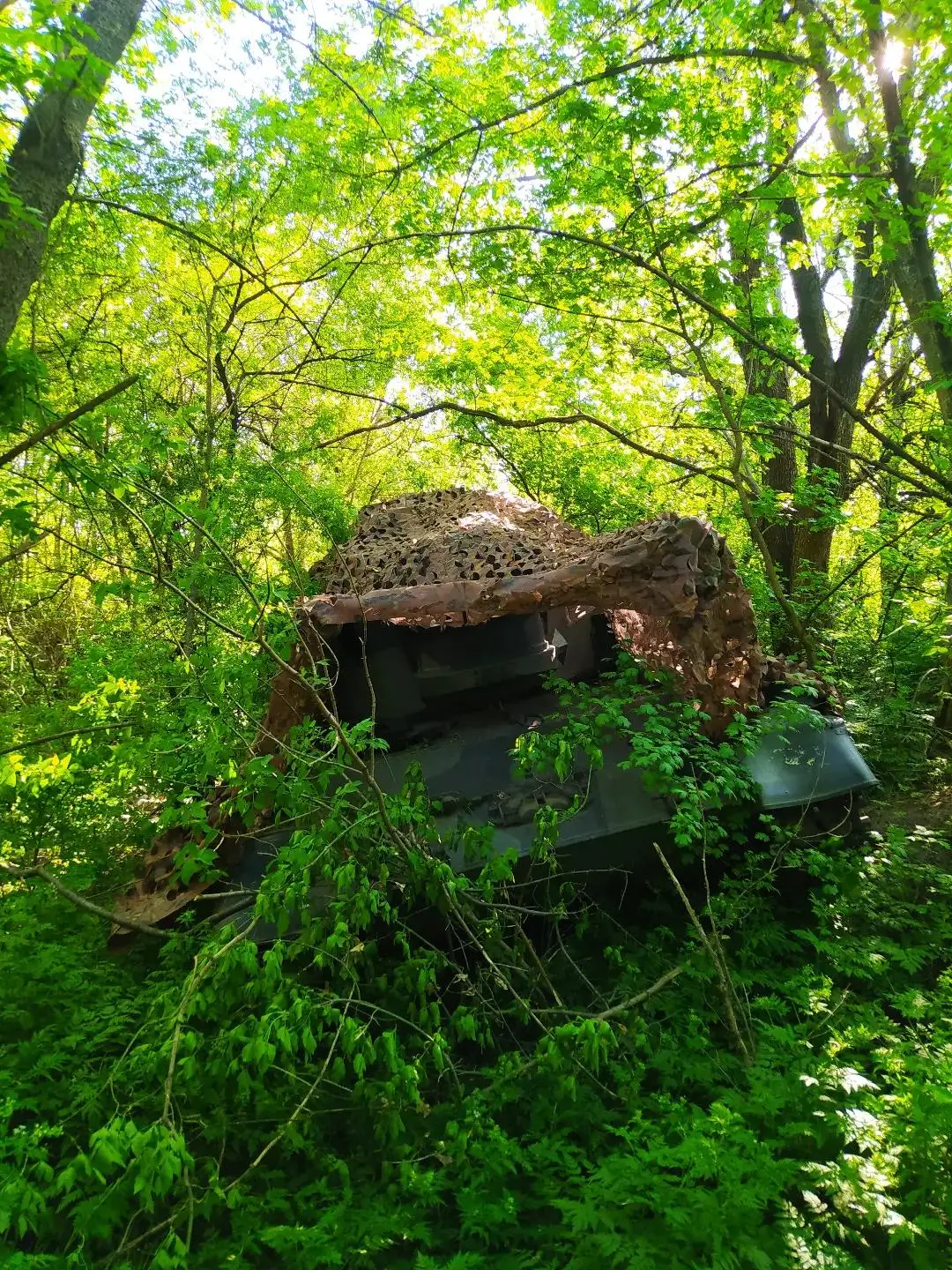 Camouflaged Cheetah SPAAG somewhere in a forest