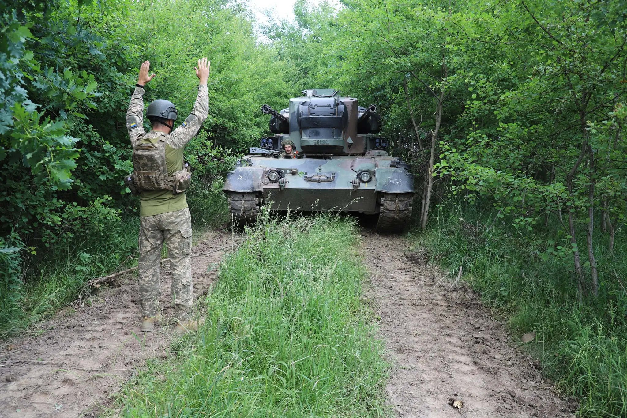 Ukrainian soldier in front of a Cheetah SPAAG hidden between trees